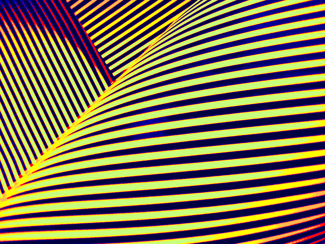 "Streifen-gelb-viol" © Josi Bennöhr